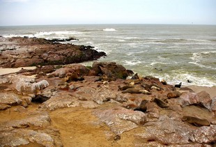 533 Namibia Okt 2006 .JPG